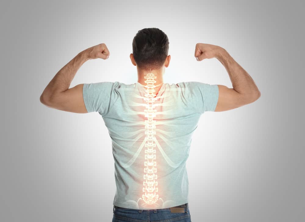 Transform Your Back Health with Pro Lumbar Support